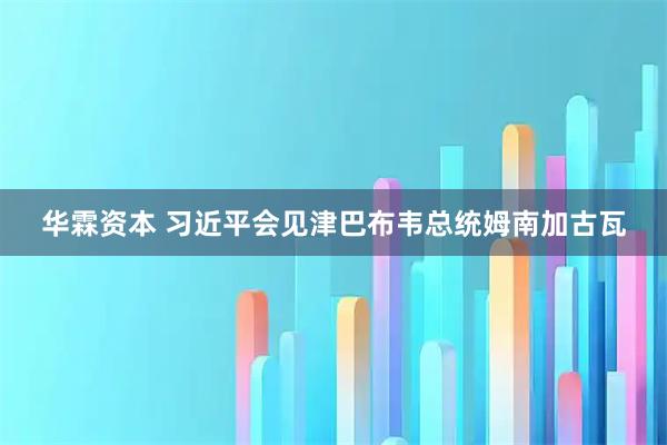 华霖资本 习近平会见津巴布韦总统姆南加古瓦