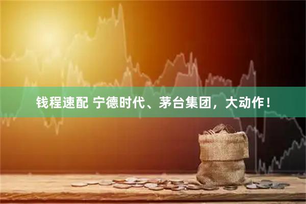 钱程速配 宁德时代、茅台集团，大动作！