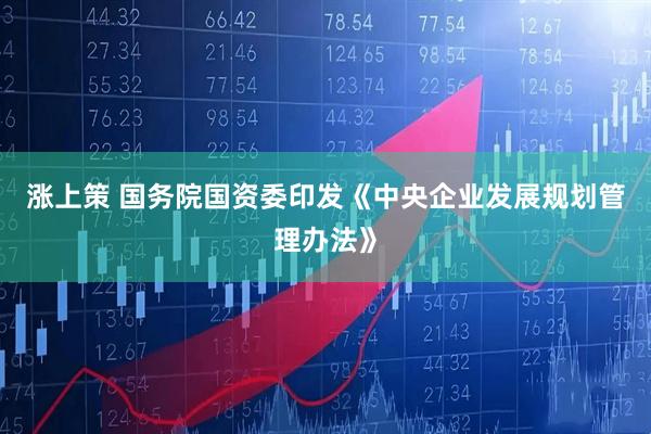 涨上策 国务院国资委印发《中央企业发展规划管理办法》