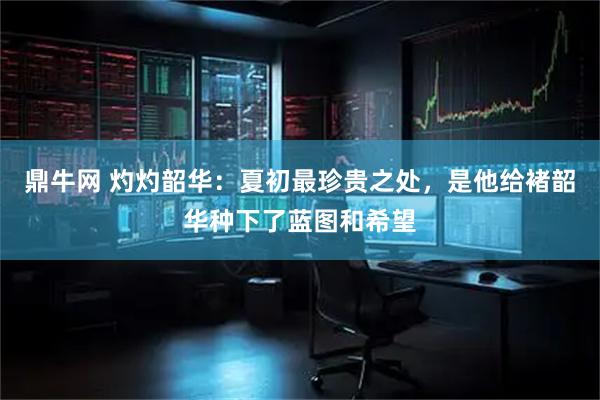 鼎牛网 灼灼韶华：夏初最珍贵之处，是他给褚韶华种下了蓝图和希望