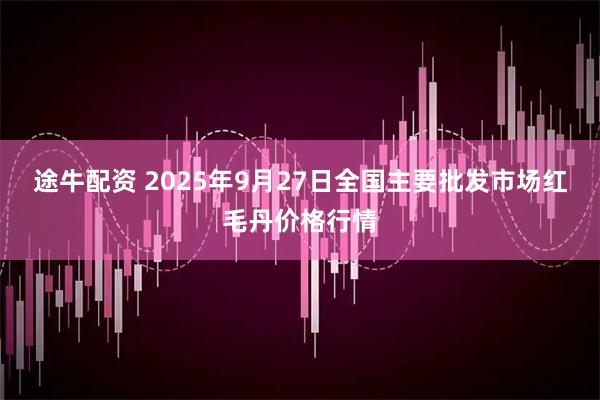 途牛配资 2025年9月27日全国主要批发市场红毛丹价格行情