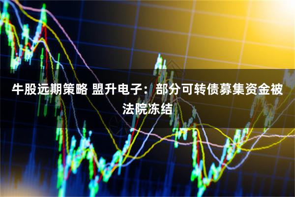 牛股远期策略 盟升电子:部分可转债募集资金被法院冻结