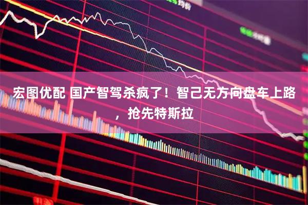 宏图优配 国产智驾杀疯了!智己无方向盘车上路,抢先特斯拉